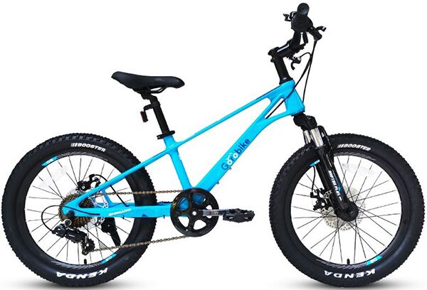 Xe đạp trẻ em Gorobike Raptor Plus 20